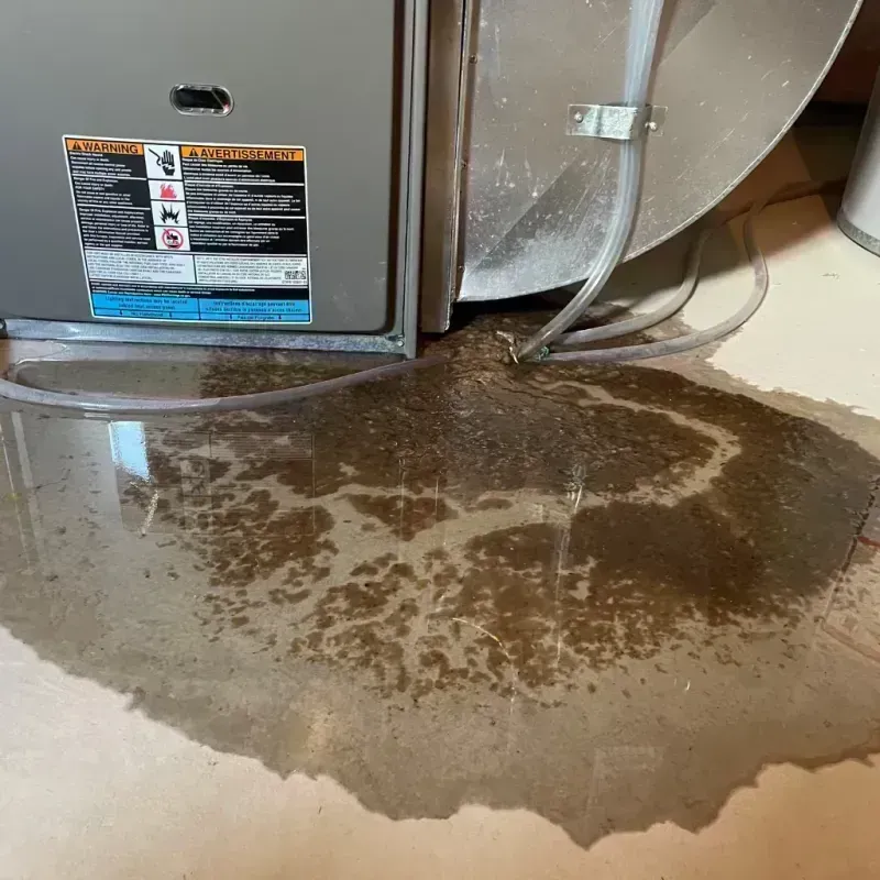 Appliance Leak Cleanup in Union County, IL